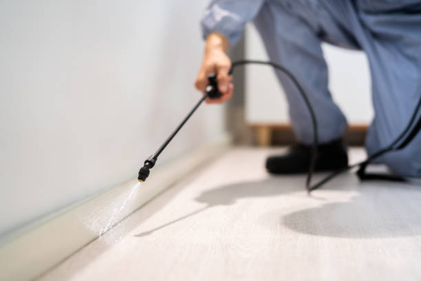 Certified termite inspector examining foundation in Chatfield